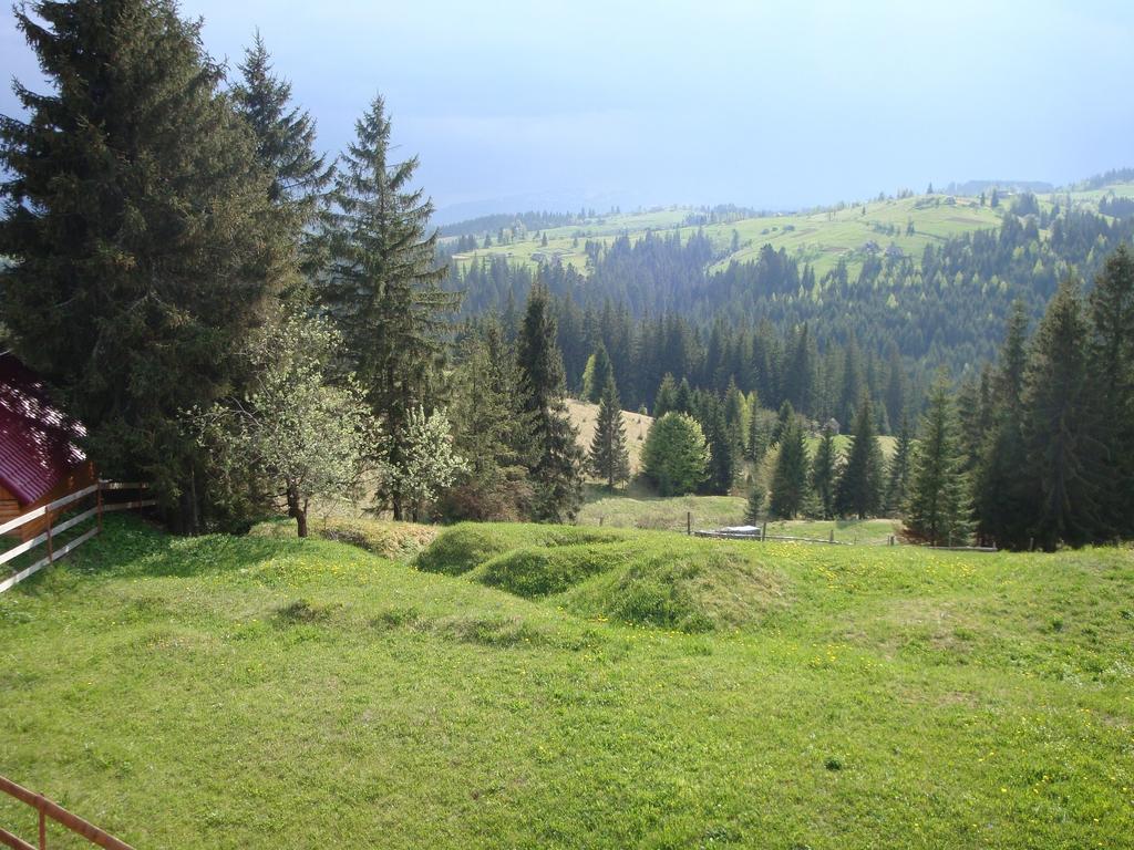 Panorama Karpat Hotel Яблуниця Екстериор снимка