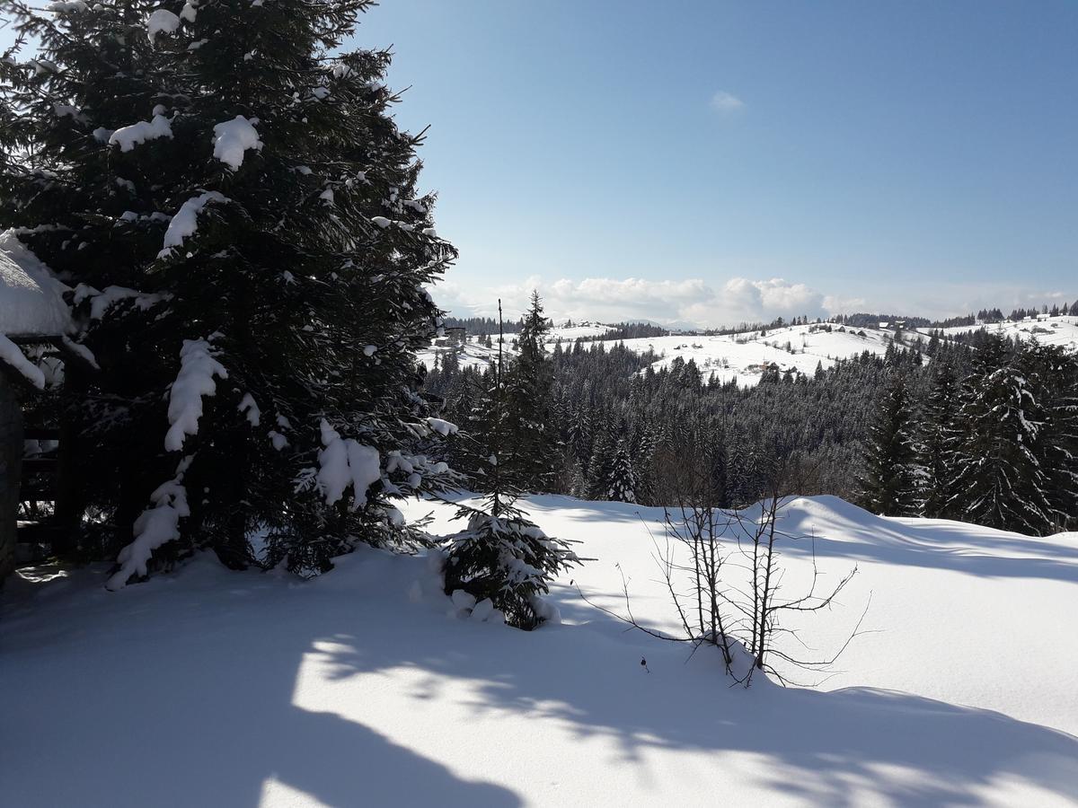 Panorama Karpat Hotel Яблуниця Екстериор снимка